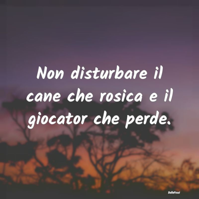 Frasi Prudenza - Non disturbare il cane che rosica e il giocator ch...