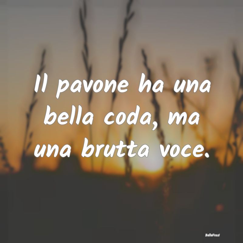 Frasi Apparenza - Il pavone ha una bella coda, ma una brutta voce....