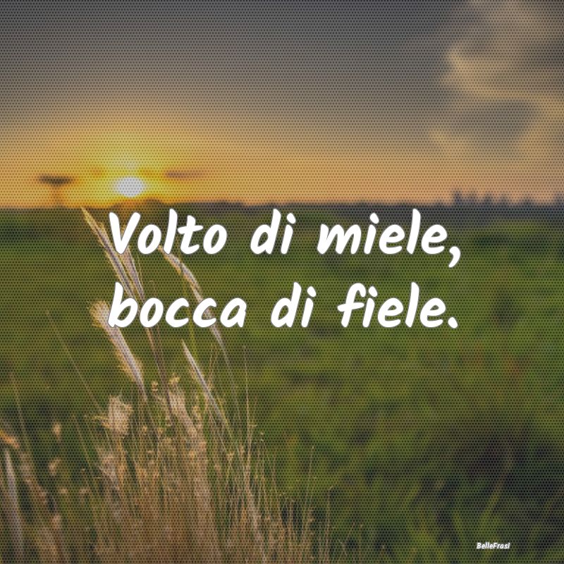 Frasi Apparenza - Volto di miele, bocca di fiele....