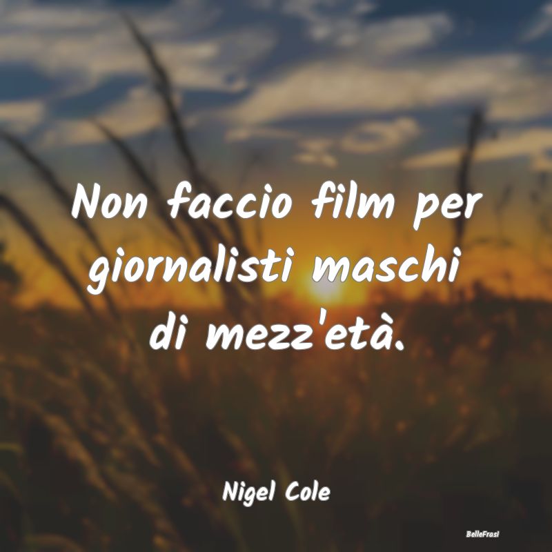 Frasi Critica - Non faccio film per giornalisti maschi di mezz'et...