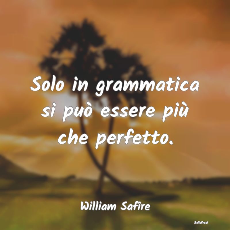 Frasi sul perfezionismo - Solo in grammatica si può essere più che perfett...