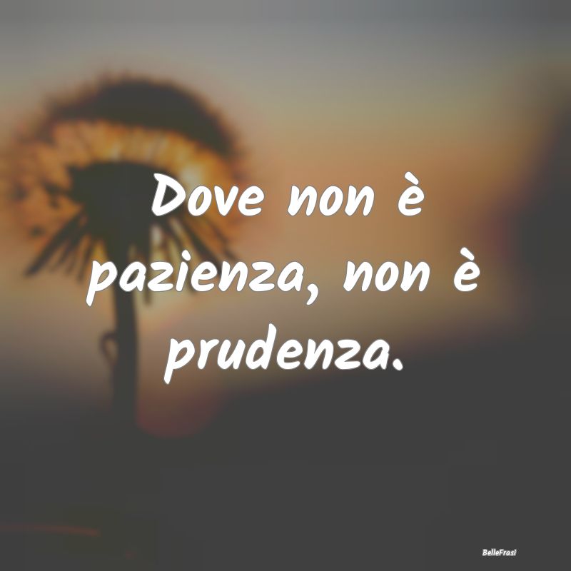 Frasi Prudenza - Dove non è pazienza, non è prudenza....