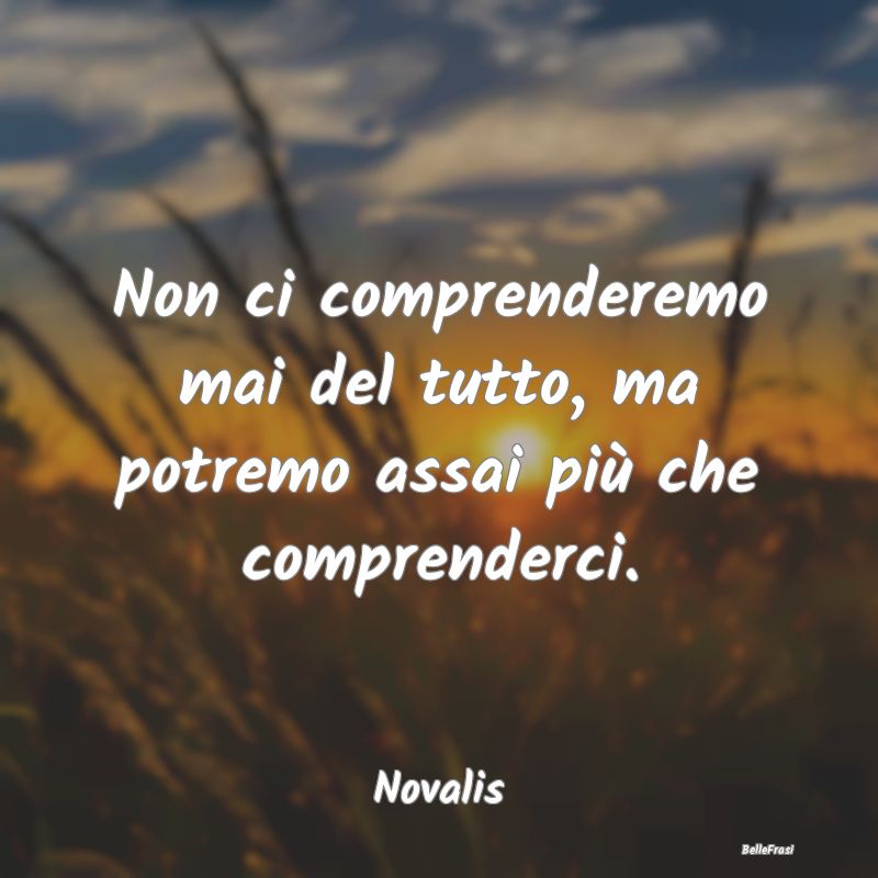 Frasi sulle relazioni - Non ci comprenderemo mai del tutto, ma potremo ass...