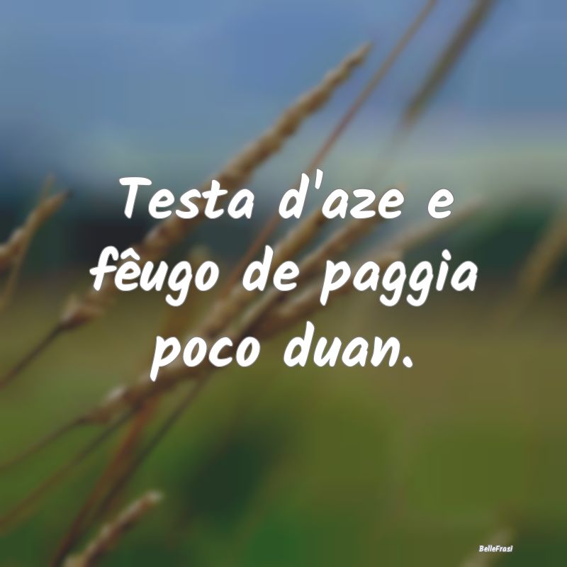 Frasi Apparenza - Testa d'aze e fêugo de paggia poco duan....