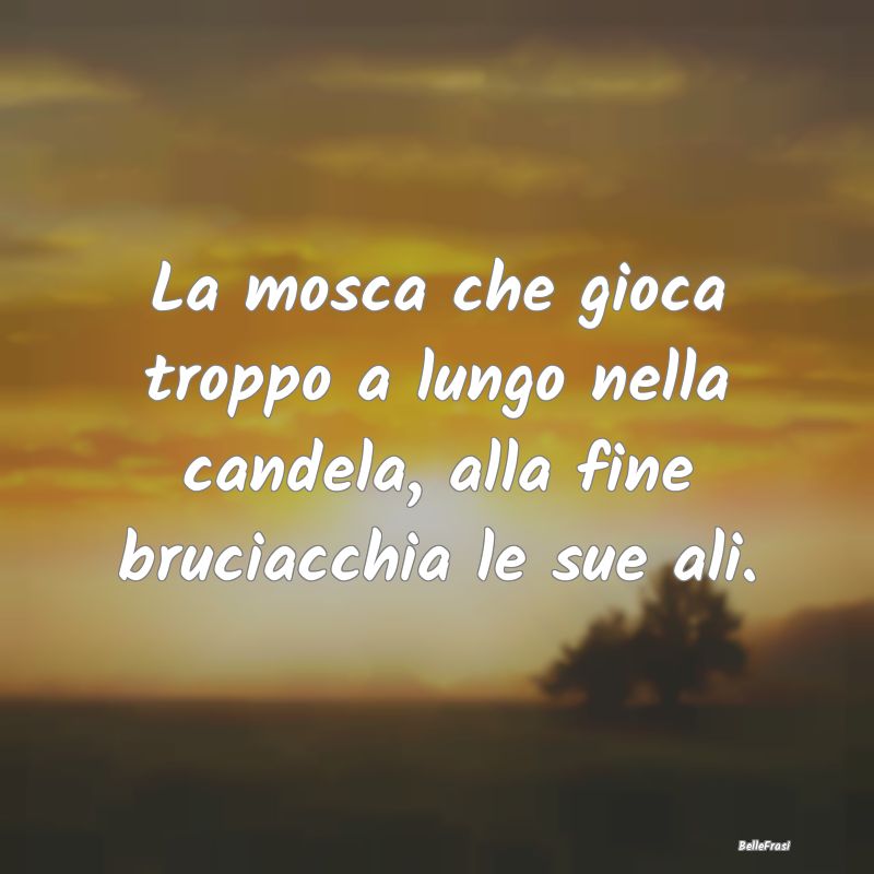 Frasi Prudenza - La mosca che gioca troppo a lungo nella candela, a...