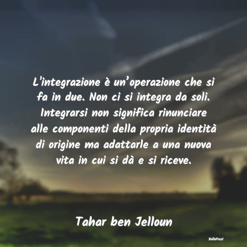 Frasi sull'Adattamento - L'integrazione è un’operazione che si fa in due...