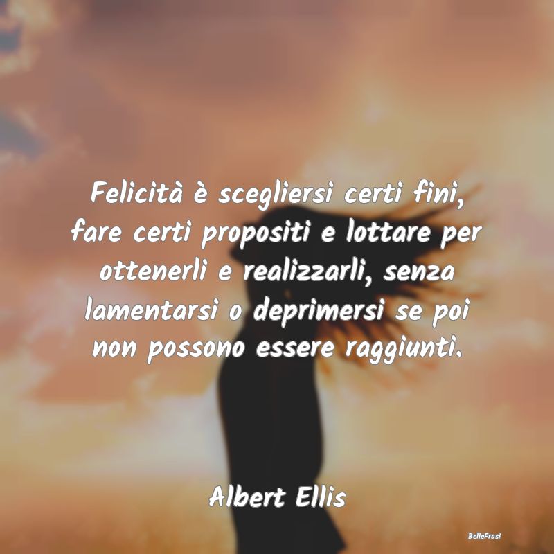 Frasi sulla Determinazione - Felicità è scegliersi certi fini, fare certi pro...