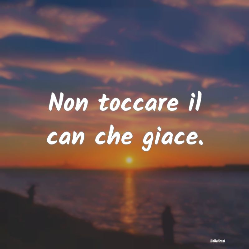 Frasi Prudenza - Non toccare il can che giace....