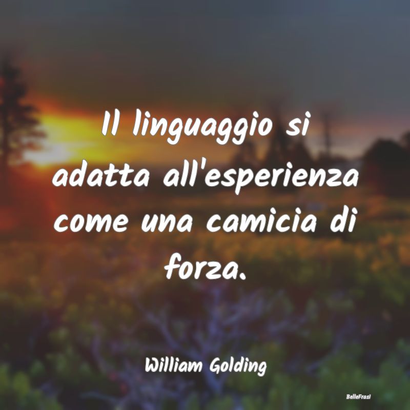 Frasi sull'Esperienza - Il linguaggio si adatta all'esperienza come una ca...