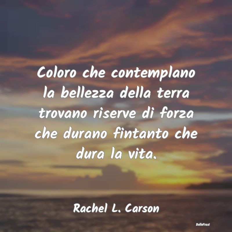 Frasi sulla Contemplazione - Coloro che contemplano la bellezza della terra tro...