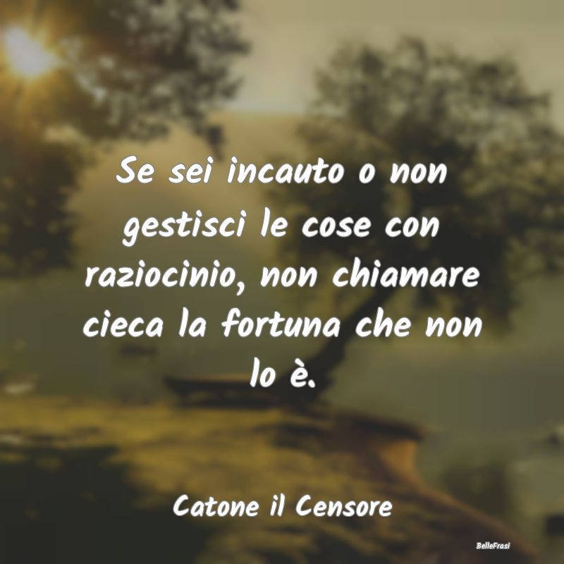 Frasi Prudenza - Se sei incauto o non gestisci le cose con raziocin...