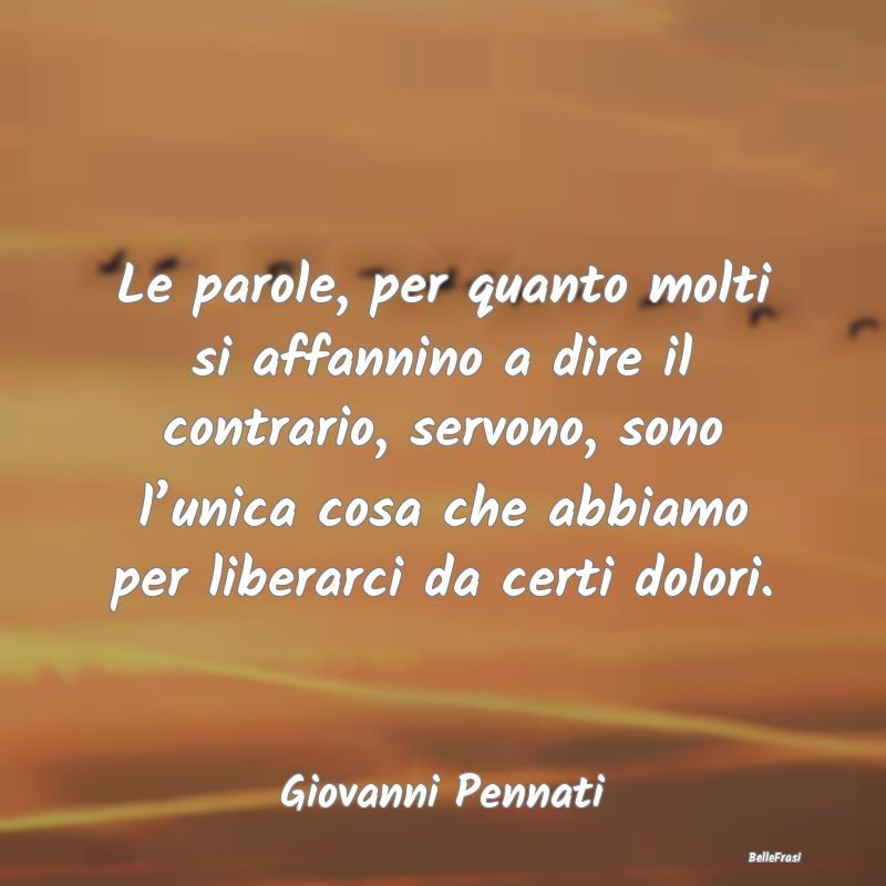 Frasi sul Conforto - Le parole, per quanto molti si affannino a dire il...