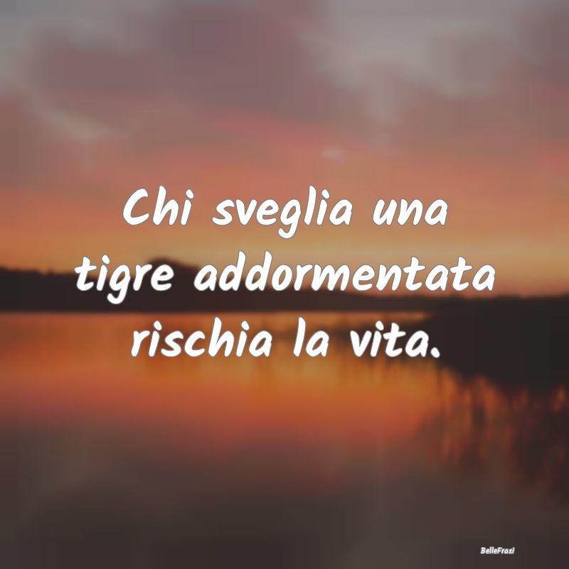 Frasi Prudenza - Chi sveglia una tigre addormentata rischia la vita...