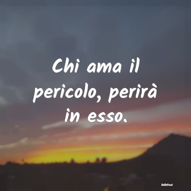 Frasi Prudenza - Chi ama il pericolo, perirà in esso....