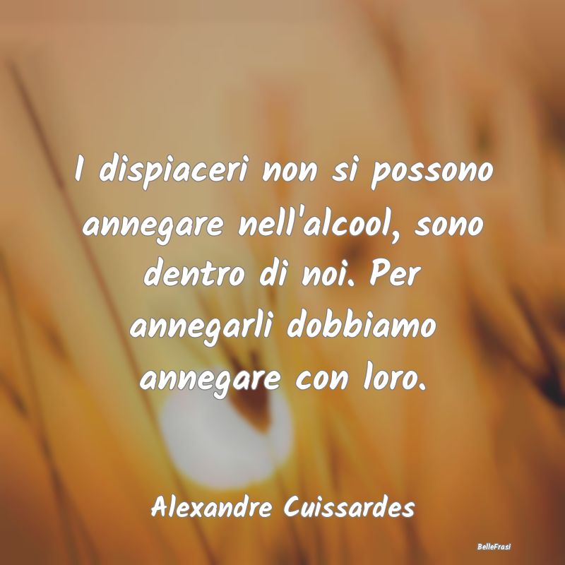 Frasi sulla Tristezza - I dispiaceri non si possono annegare nell'alcool, ...