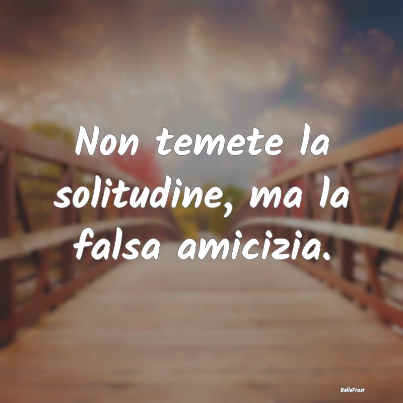 Frasi sui falsi amici - Non temete la solitudine, ma la falsa amicizia....