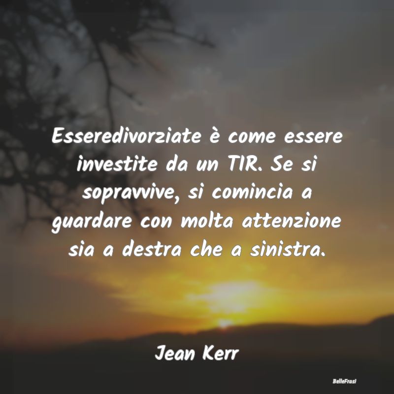 Frasi Prudenza - Esseredivorziate è come essere investite da un TI...