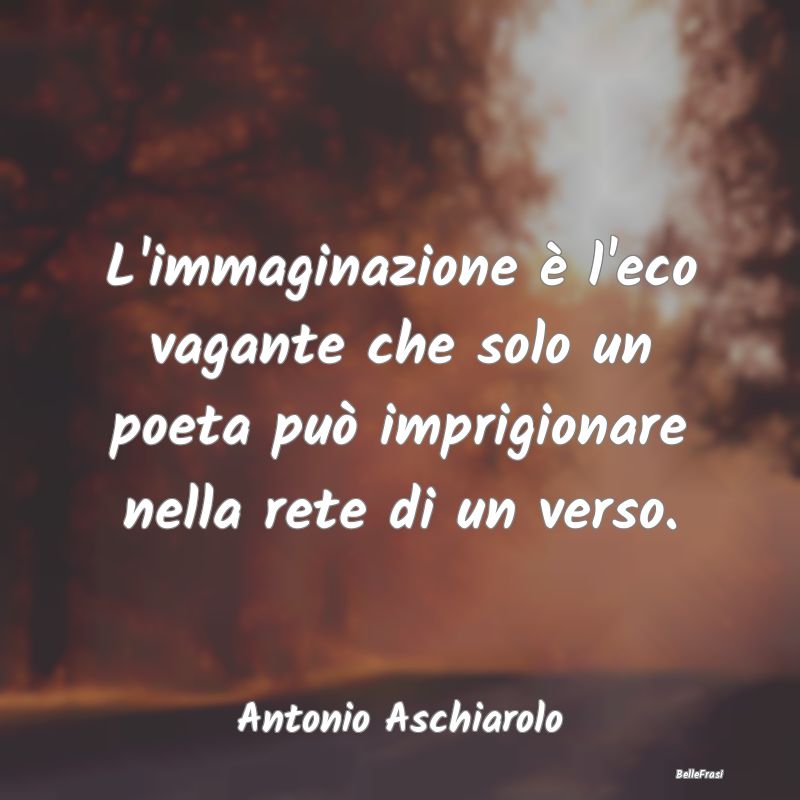 L'immaginazione è l'eco vagante che solo un poeta...