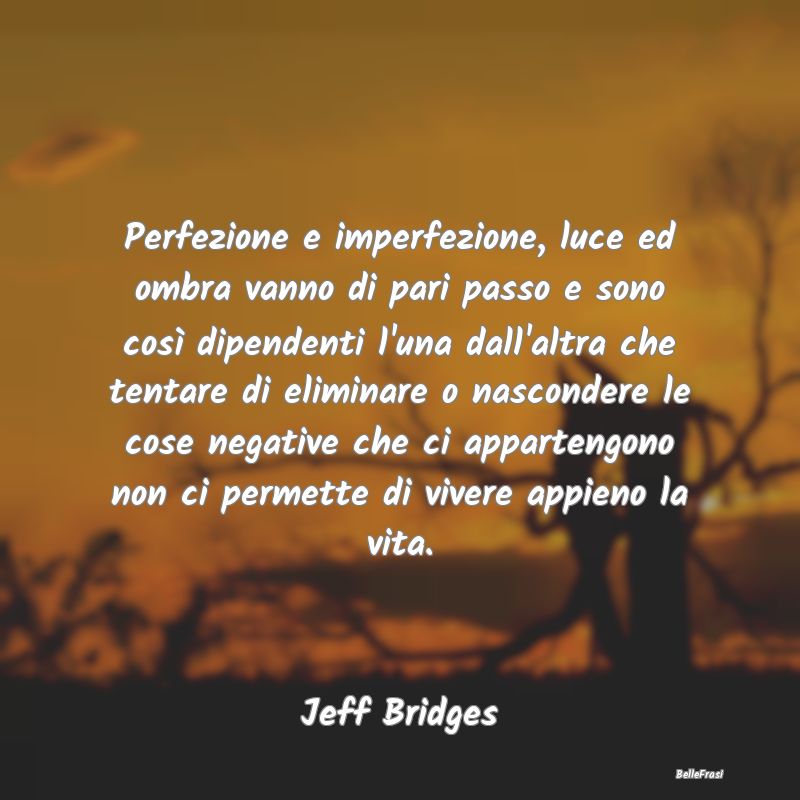 Frasi sull'Adattamento - Perfezione e imperfezione, luce ed ombra vanno di ...