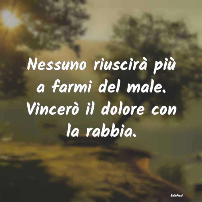 Frasi sulla Rabbia - Nessuno riuscirà più a farmi del male. Vincerò ...