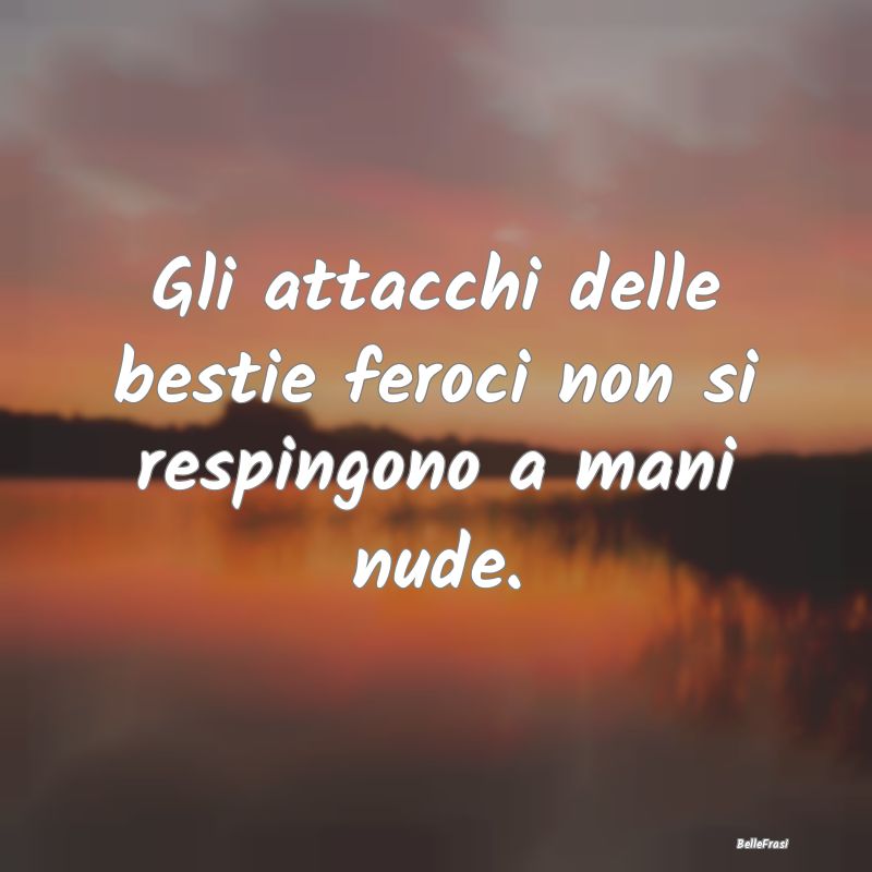 Proverbi Africani - Gli attacchi delle bestie feroci non si respingono...