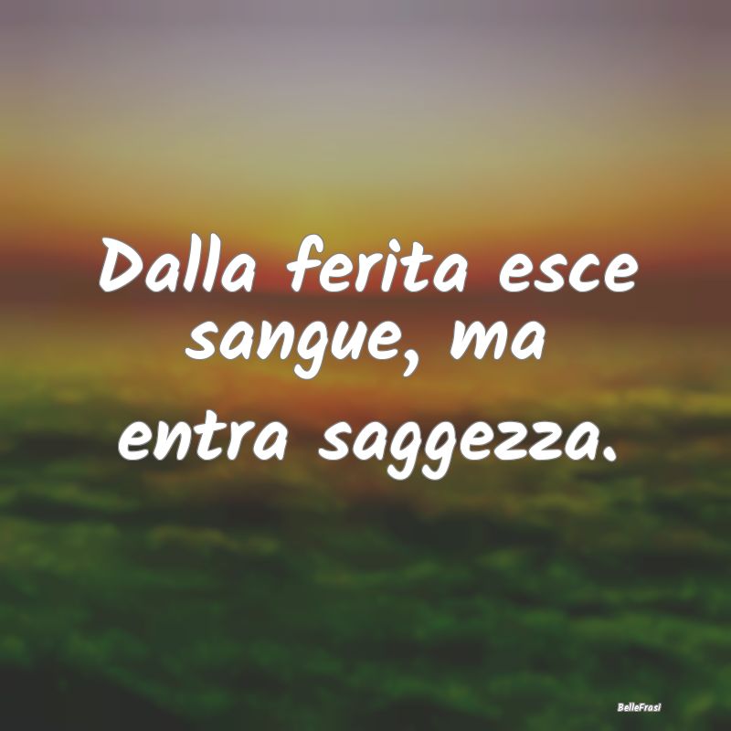 Proverbi Africani - Dalla ferita esce sangue, ma entra saggezza.
...