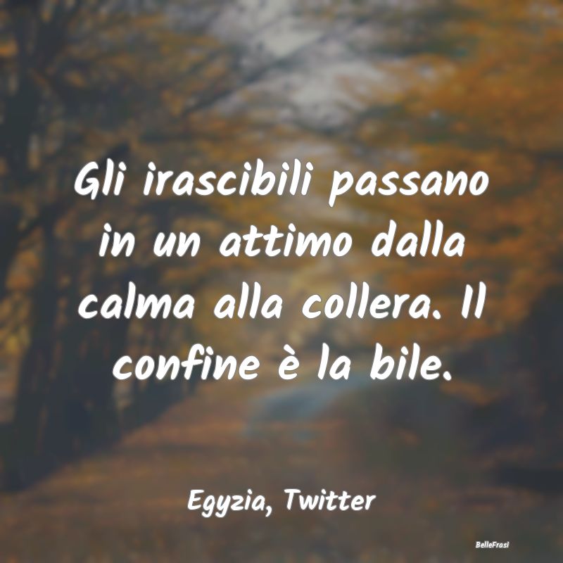 Frasi sull’ira - ...