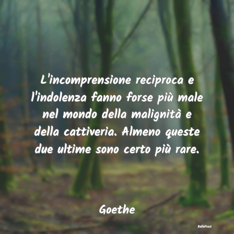 L'incomprensione reciproca e l'indolenza fanno for...