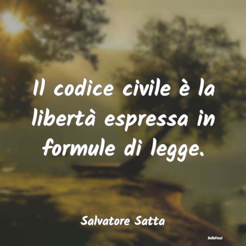 Frasi sul Diritto - Il codice civile è la libertà espressa in formul...