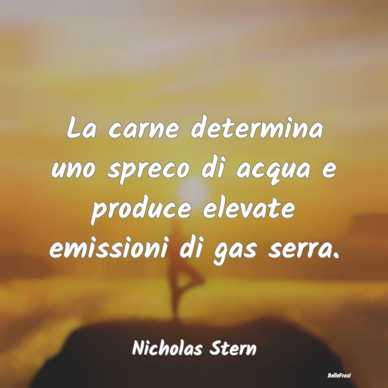 Frasi sugli sprechi - La carne determina uno spreco di acqua e produce e...