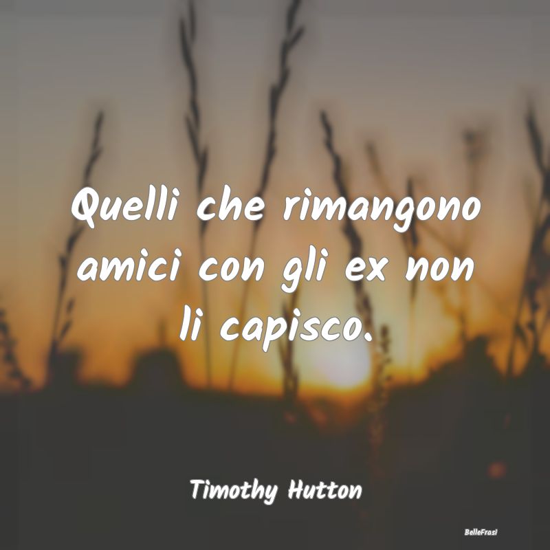 Frasi sul Lasciarsi - Quelli che rimangono amici con gli ex non li capis...