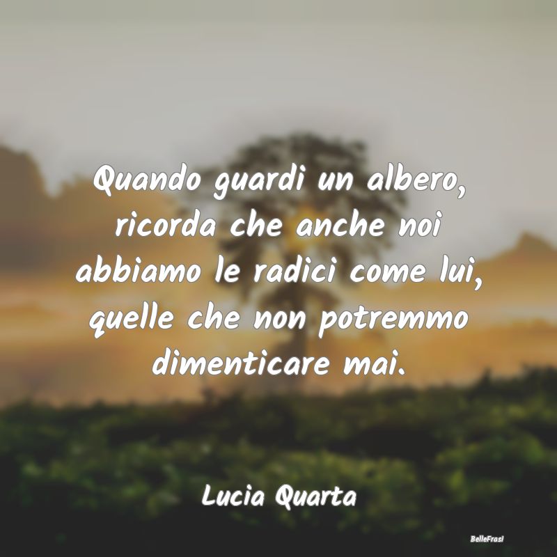 Frasi sugli Abbracci - Quando guardi un albero, ricorda che anche noi abb...