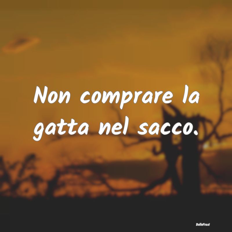 Non comprare la gatta nel sacco....