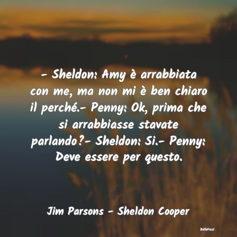 - Sheldon: Amy è arrabbiata con me, ma non mi è ...