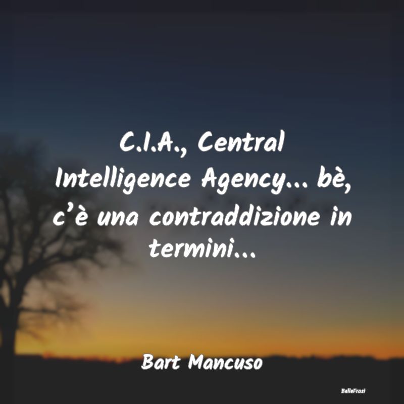 C.I.A., Central Intelligence Agency… bè, c’è...