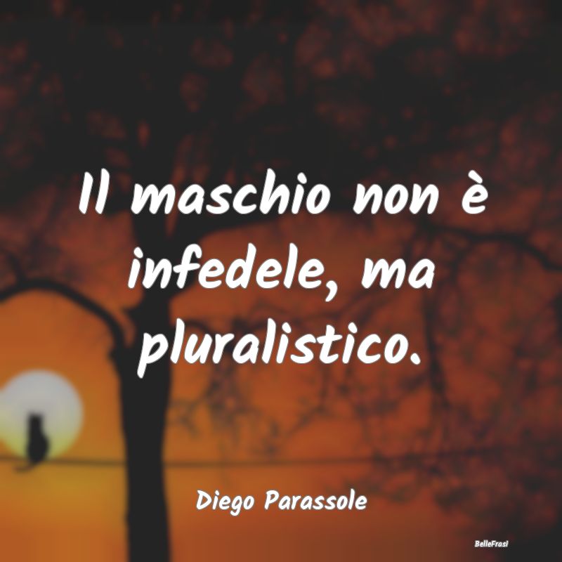 Frasi sull'infedeltà - Il maschio non è infedele, ma pluralistico....