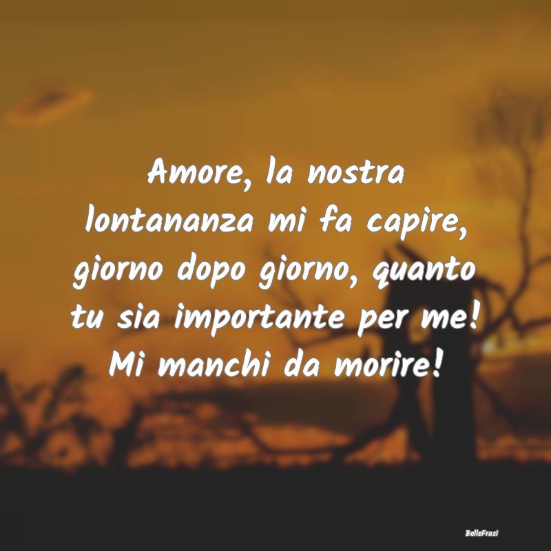 Frasi sull’amore a distanza - Amore, la nostra lontananza mi fa capire, giorno d...