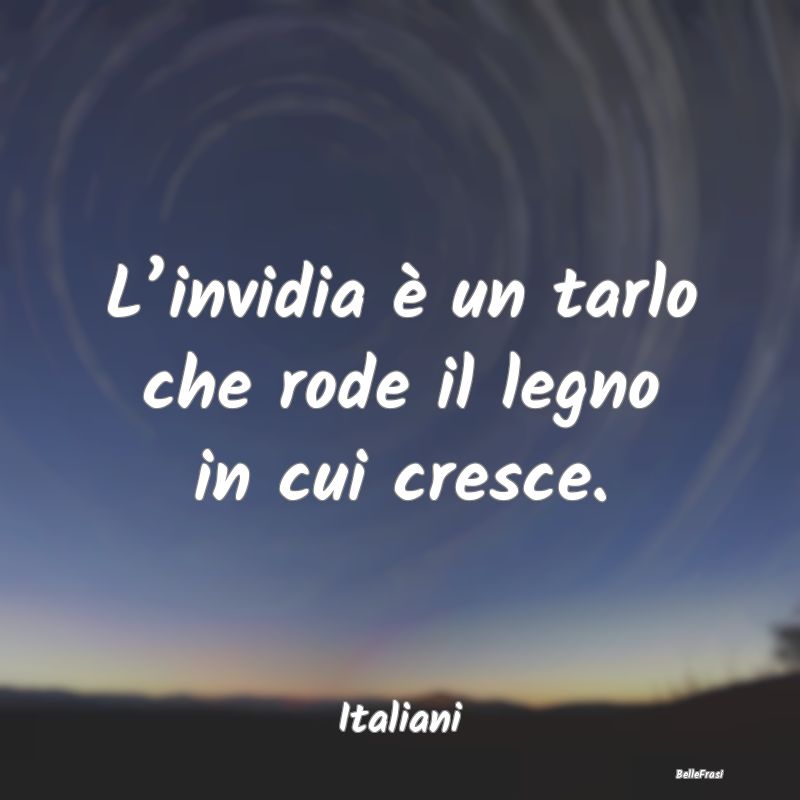 Frasi sull’Invidia - L’invidia è un tarlo che rode il legno in cui c...