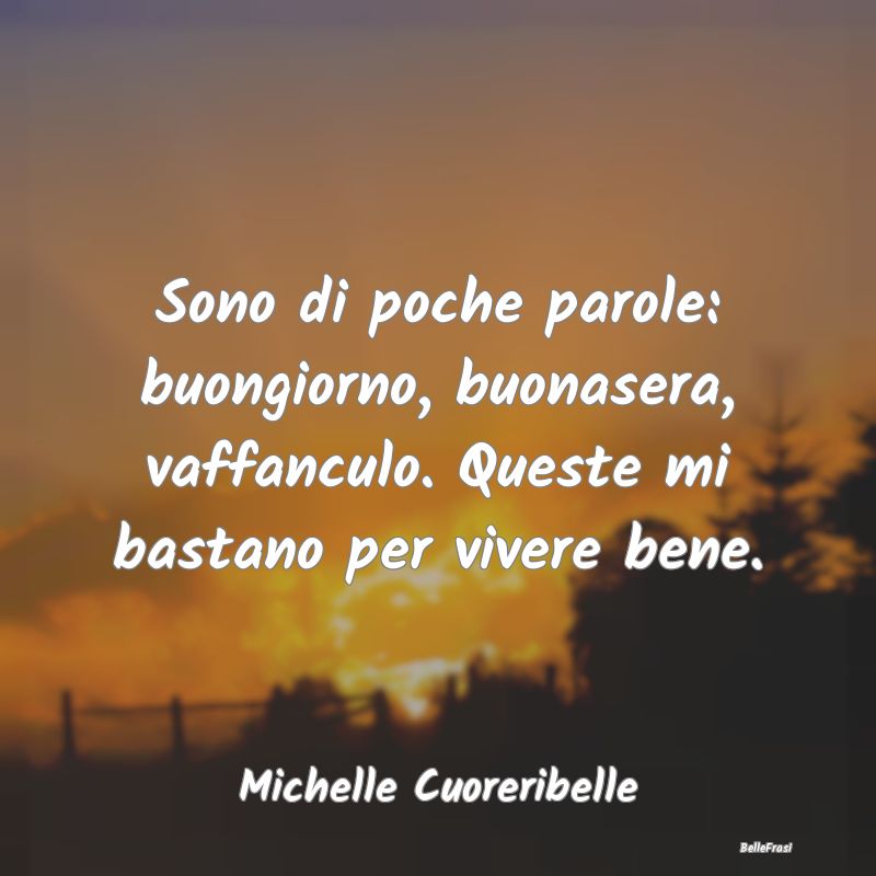 Frasi Abitudine - Sono di poche parole: buongiorno, buonasera, vaffa...