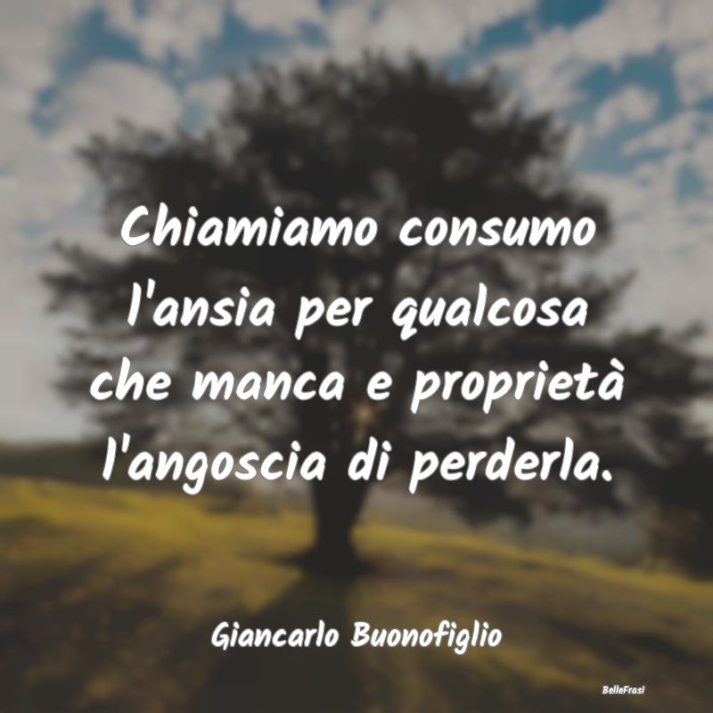 Frasi sul Possesso - Chiamiamo consumo l'ansia per qualcosa che manca e...