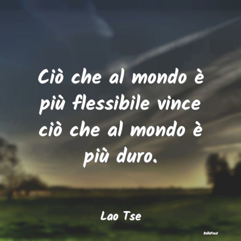 Frasi sull'Adattamento - Ciò che al mondo è più flessibile vince ciò ch...