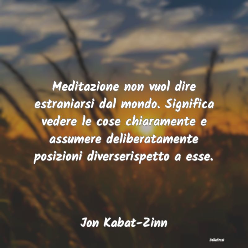 Frasi sulla Meditazione - Meditazione non vuol dire estraniarsi dal mondo. S...