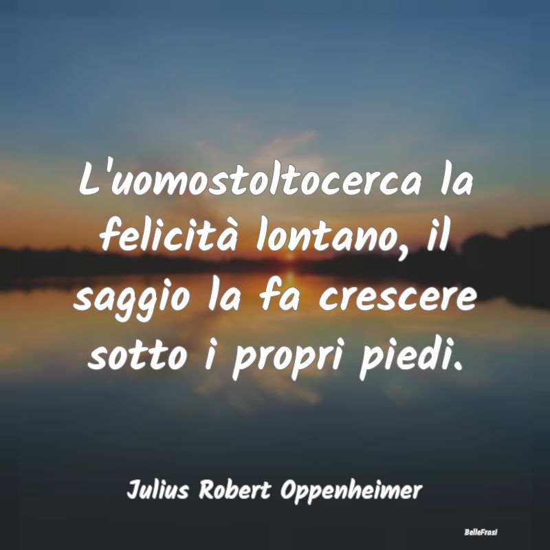 Frasi sulla Saggezza - L'uomostoltocerca la felicità lontano, il saggio ...