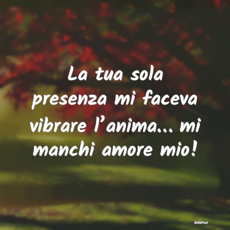 Frasi sull’amore a distanza - La tua sola presenza mi faceva vibrare l’anima...