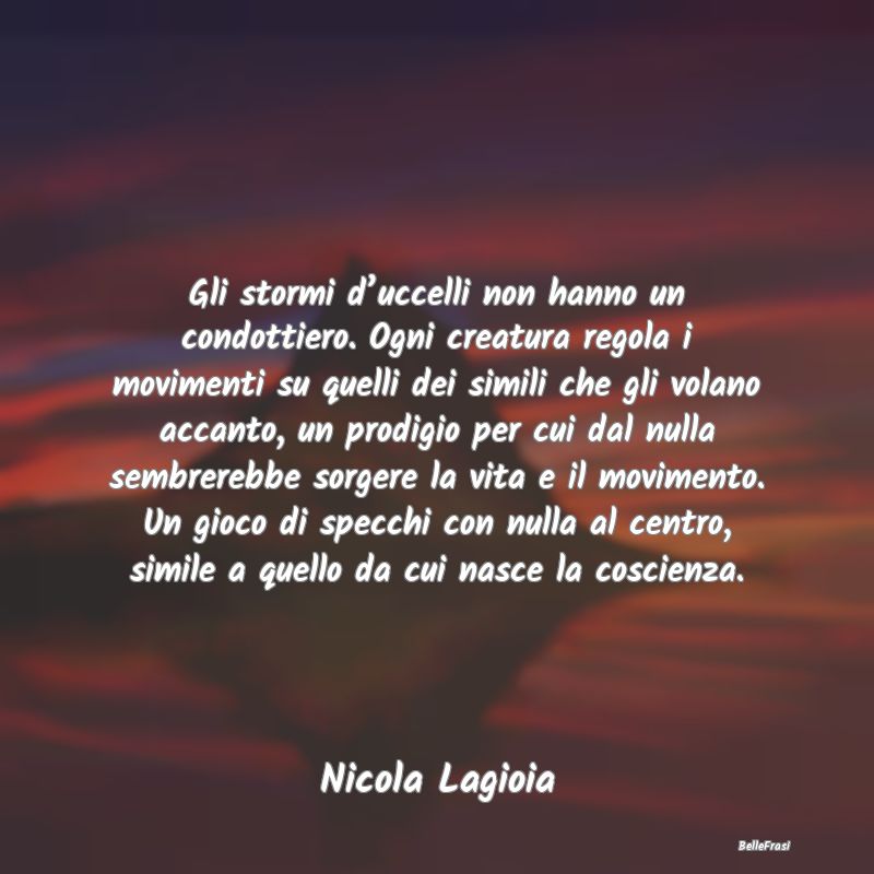 Gli stormi d’uccelli non hanno un condottiero. O...