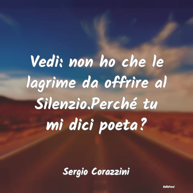 Vedi: non ho che le lagrime da offrire al Silenzio...