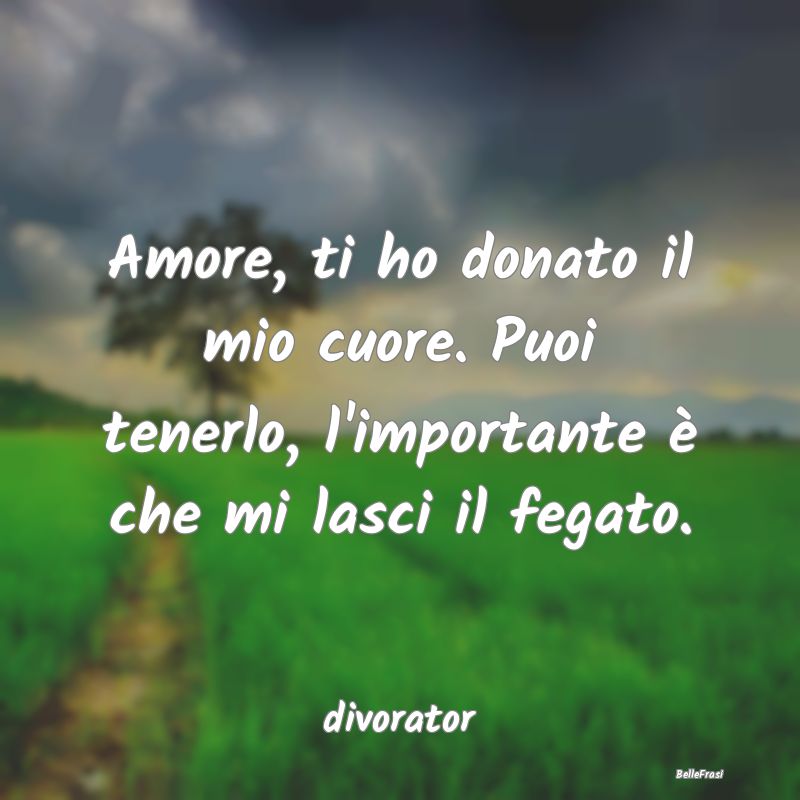 Frasi sul Cuore - Amore, ti ho donato il mio cuore. Puoi tenerlo, l'...