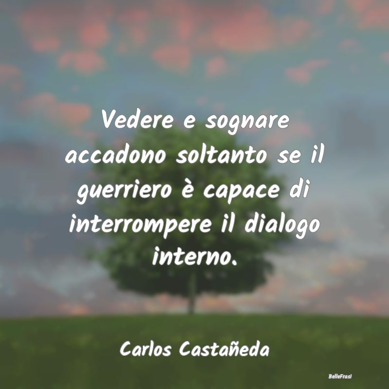 Frasi sulla Meditazione - Vedere e sognare accadono soltanto se il guerriero...