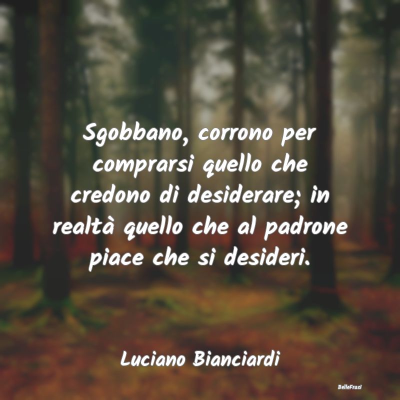 Frasi sul consumo - Sgobbano, corrono per comprarsi quello che credono...