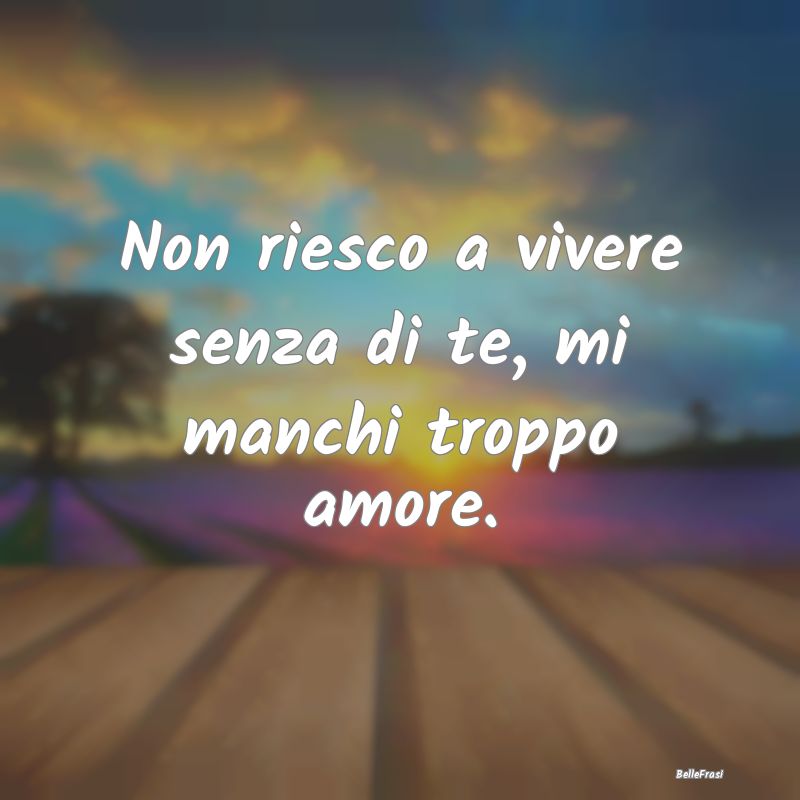 Non riesco a vivere senza di te, mi manchi troppo ...